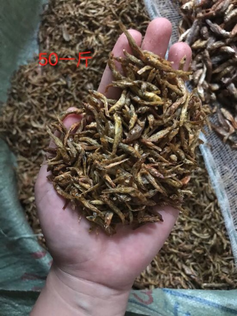 鱼干烤鱼干