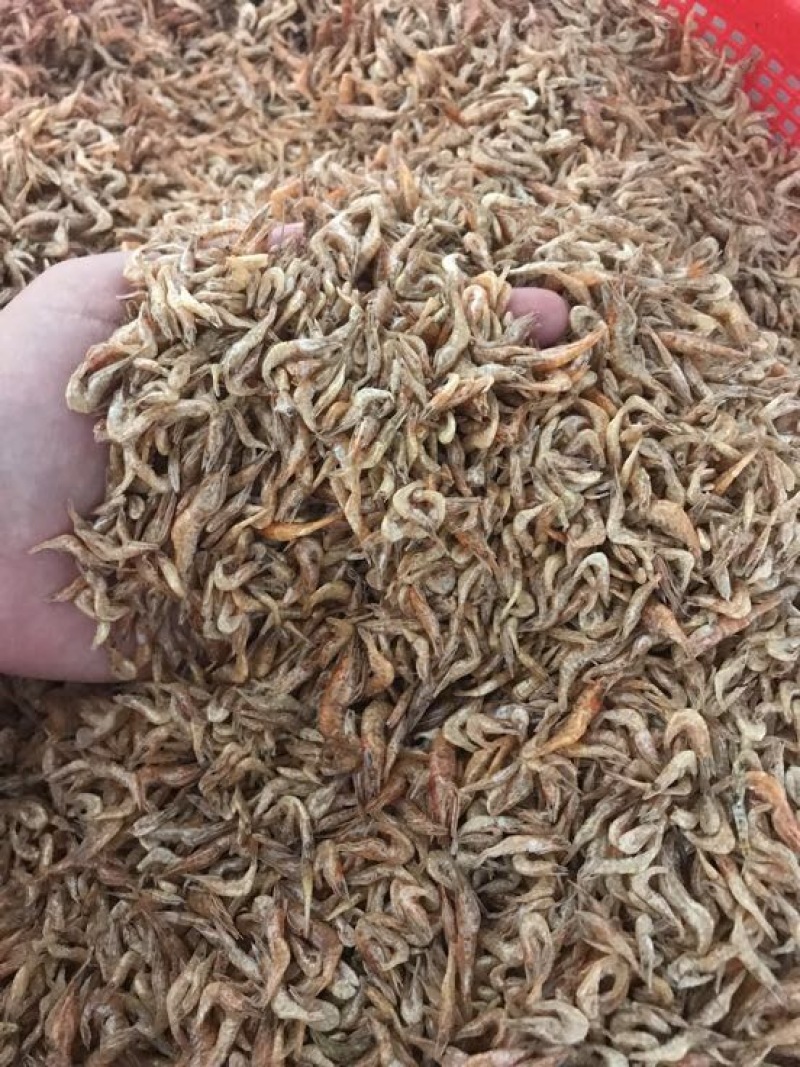 鱼干烤鱼干