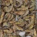 斑节虾食用冰鲜虾
