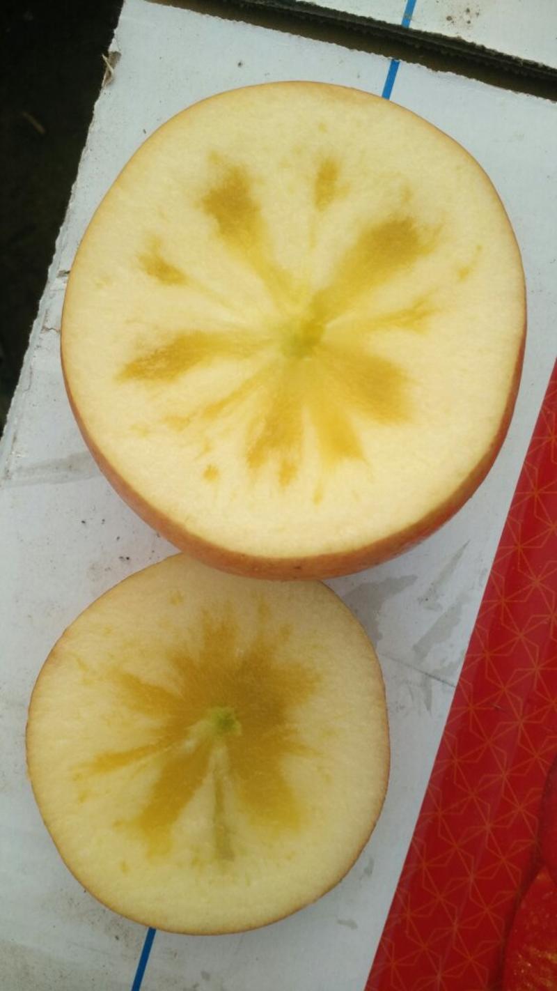 冰糖心苹果新疆阿克苏红旗坡自家种植基地价格开心顺丰包邮
