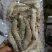 南美对虾
