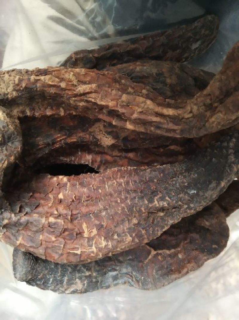 肉苁蓉大云大芸内蒙古优级肉苁蓉阿拉善肉丛蓉500克批包邮