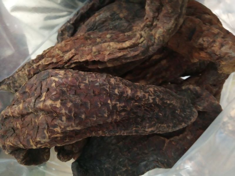 肉苁蓉大云大芸内蒙古优级肉苁蓉阿拉善肉丛蓉500克批包邮