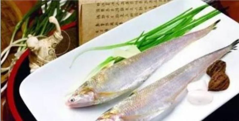 刀鱼