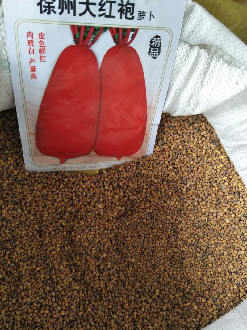 红萝卜种子