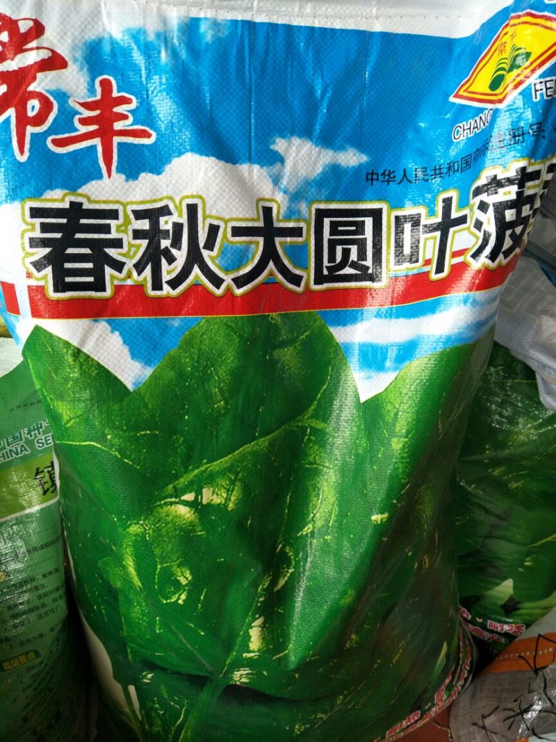 红萝卜种子