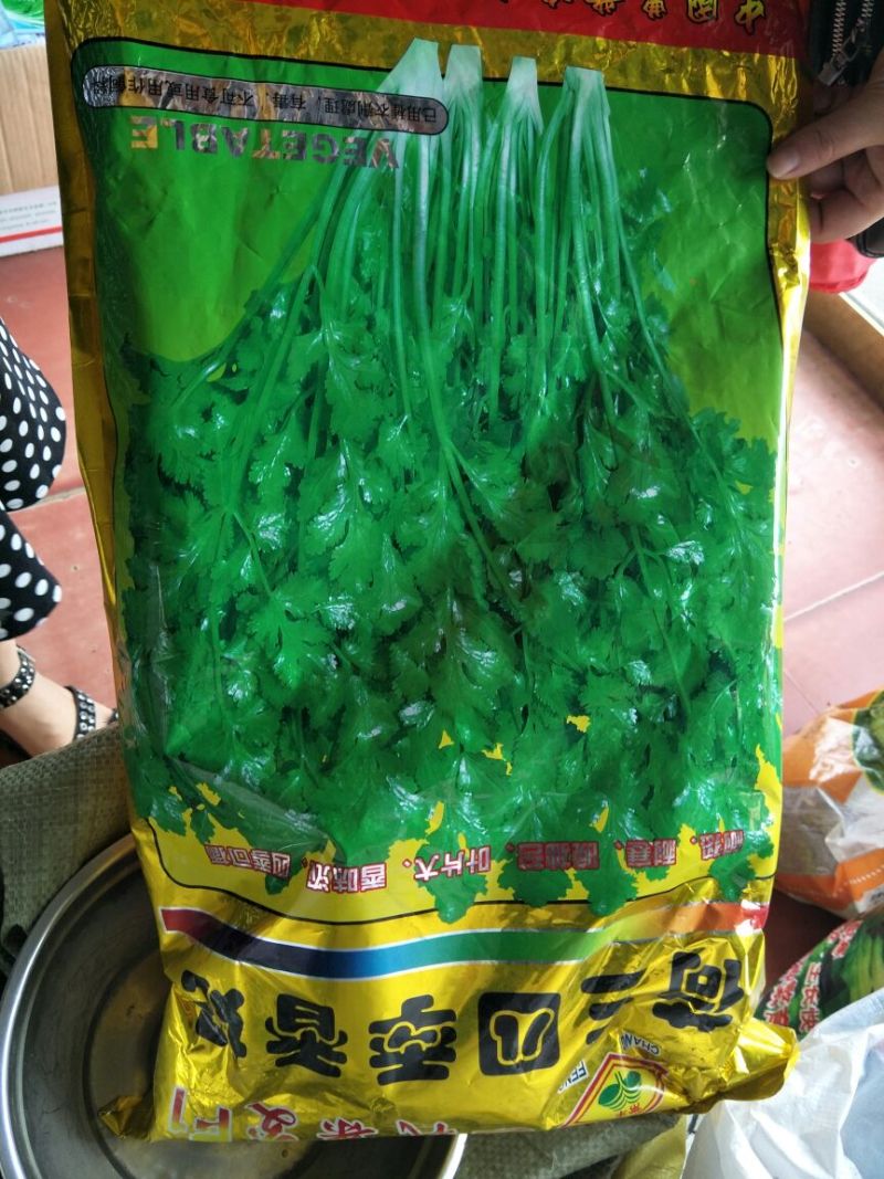 红萝卜种子
