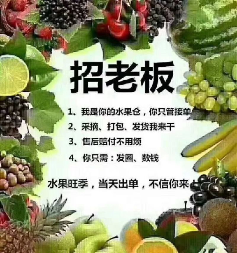 软枣猕猴桃