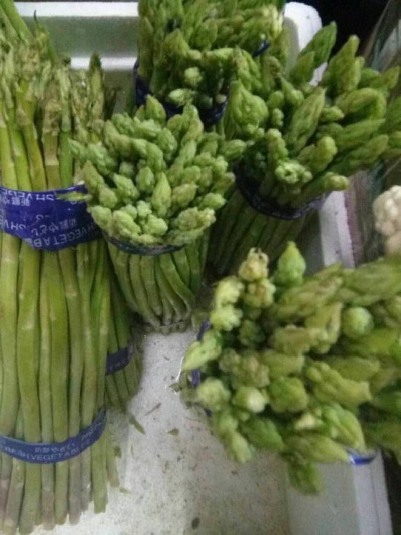 绿芦笋种苗一年苗6个根以上一手货源保证保证质量，免费包邮