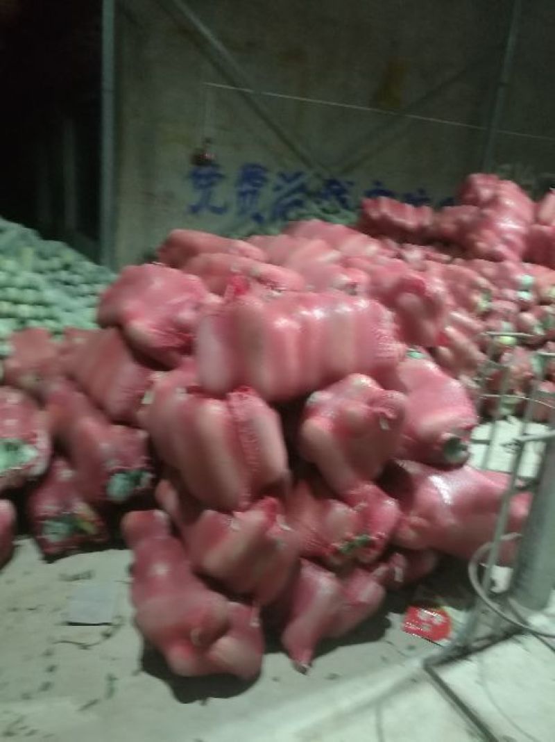 开封小白冬瓜，大量上市，物美价廉，产地直销，欢迎老板前来