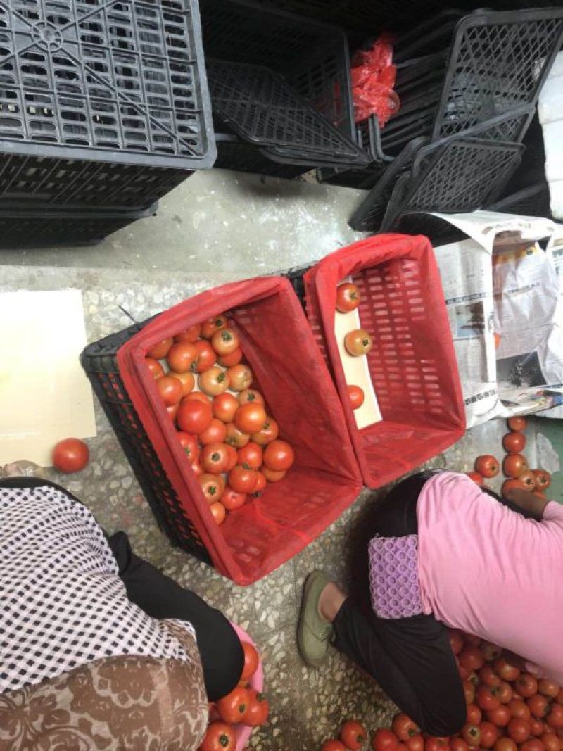 包装袋,无纺布袋，全国包邮货到付款价格最低，水果袋