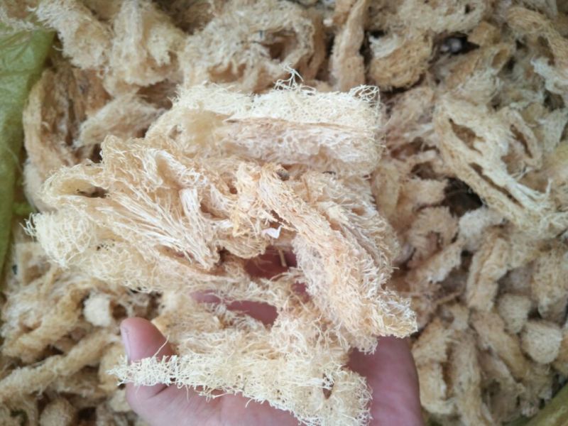产地直销优质段子丝瓜络