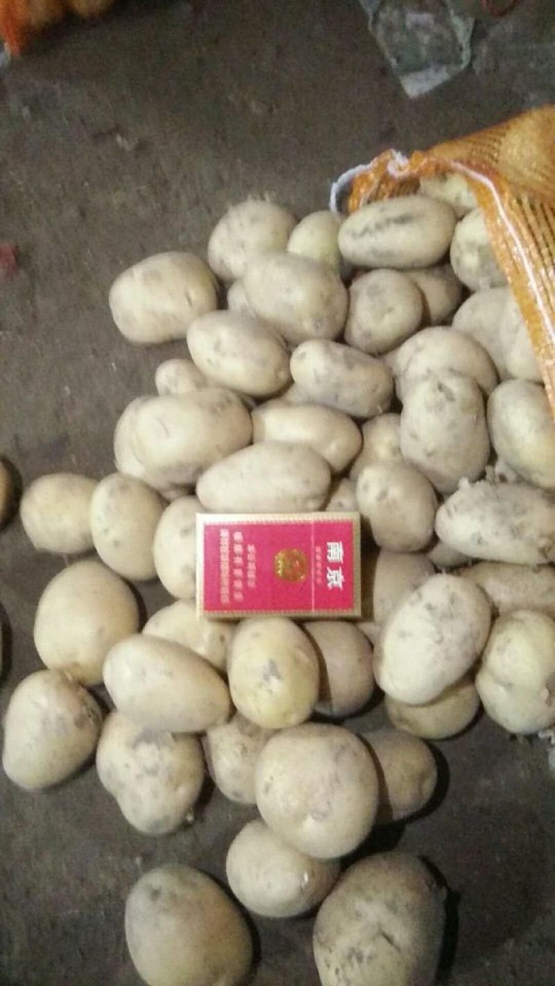 精品v七西森六号V8陇七全国发货，支持产地视频看货