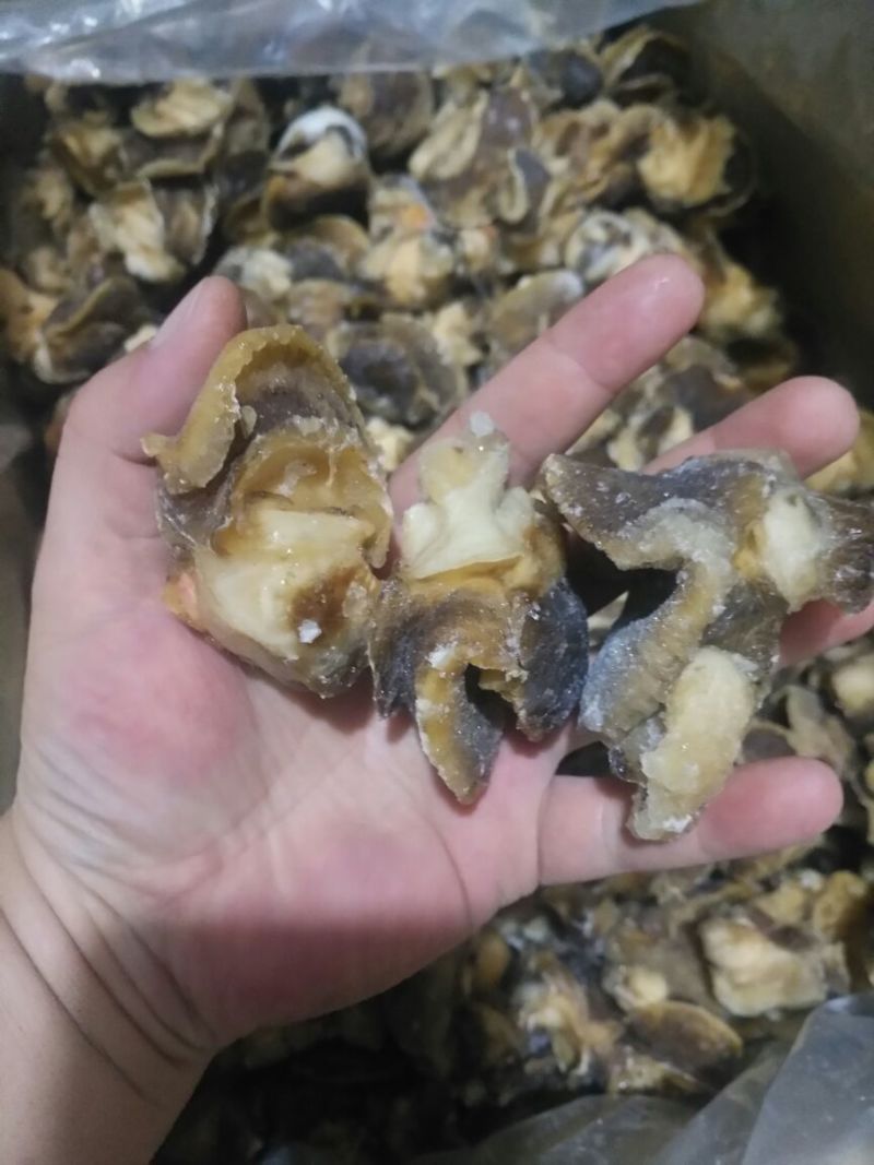 香螺肉