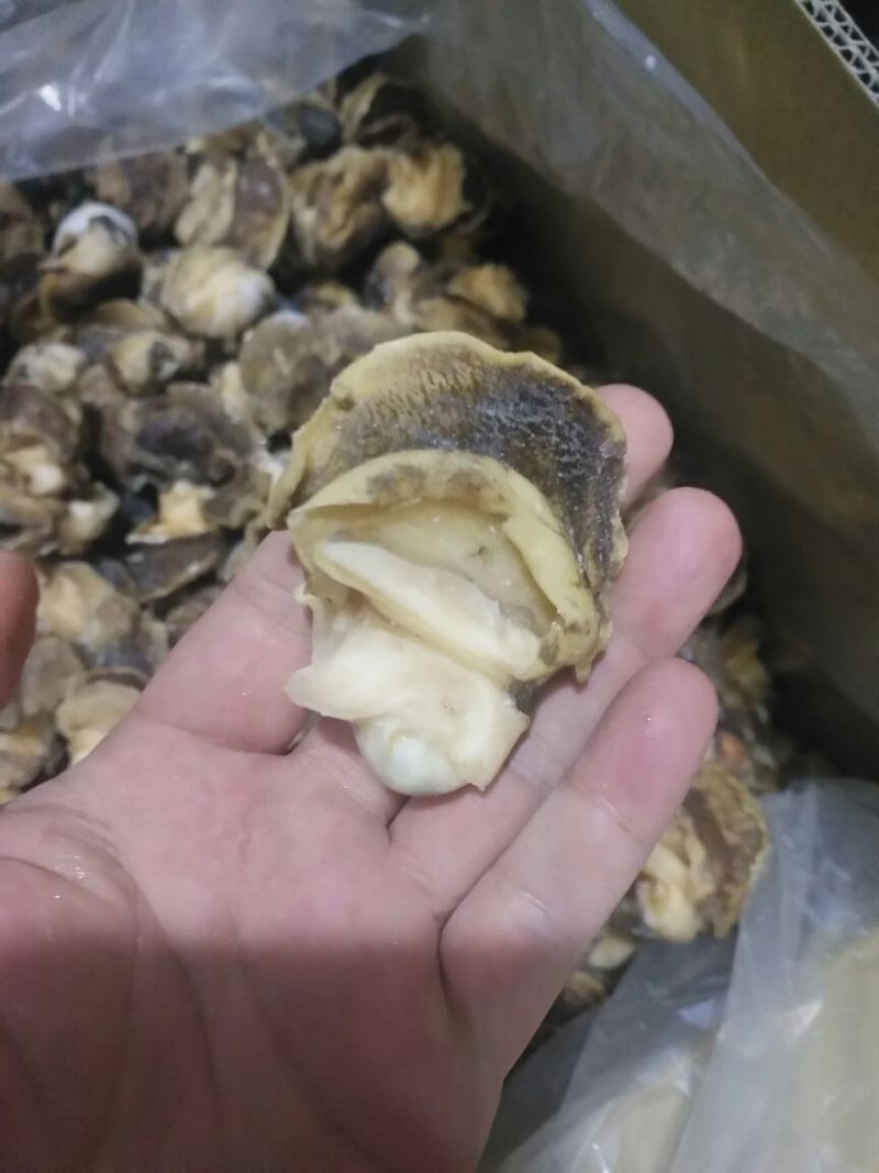 香螺肉