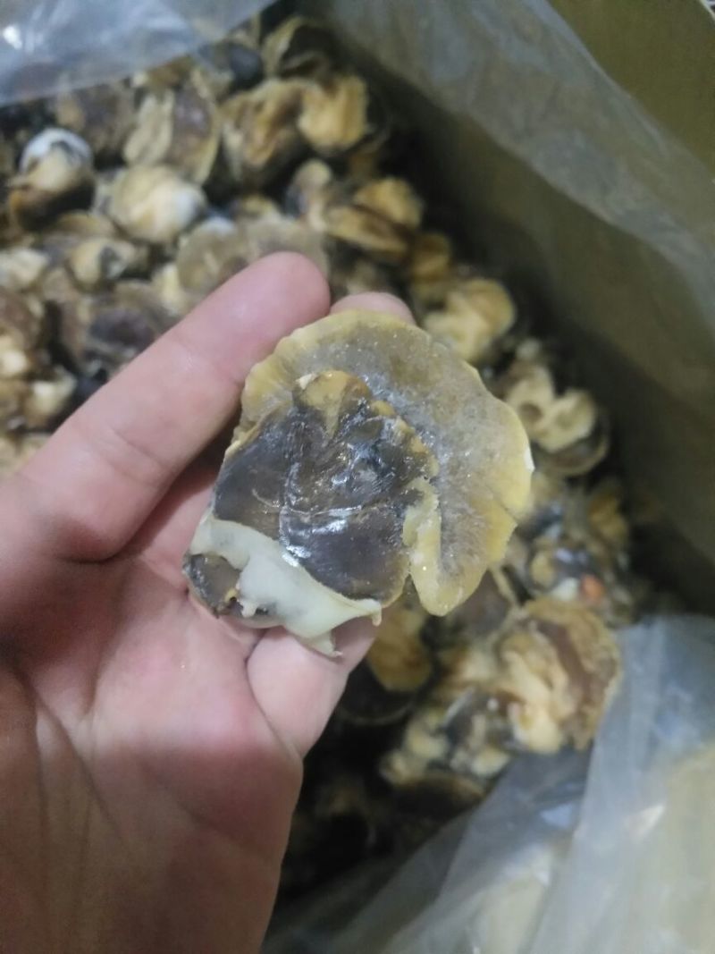 香螺肉