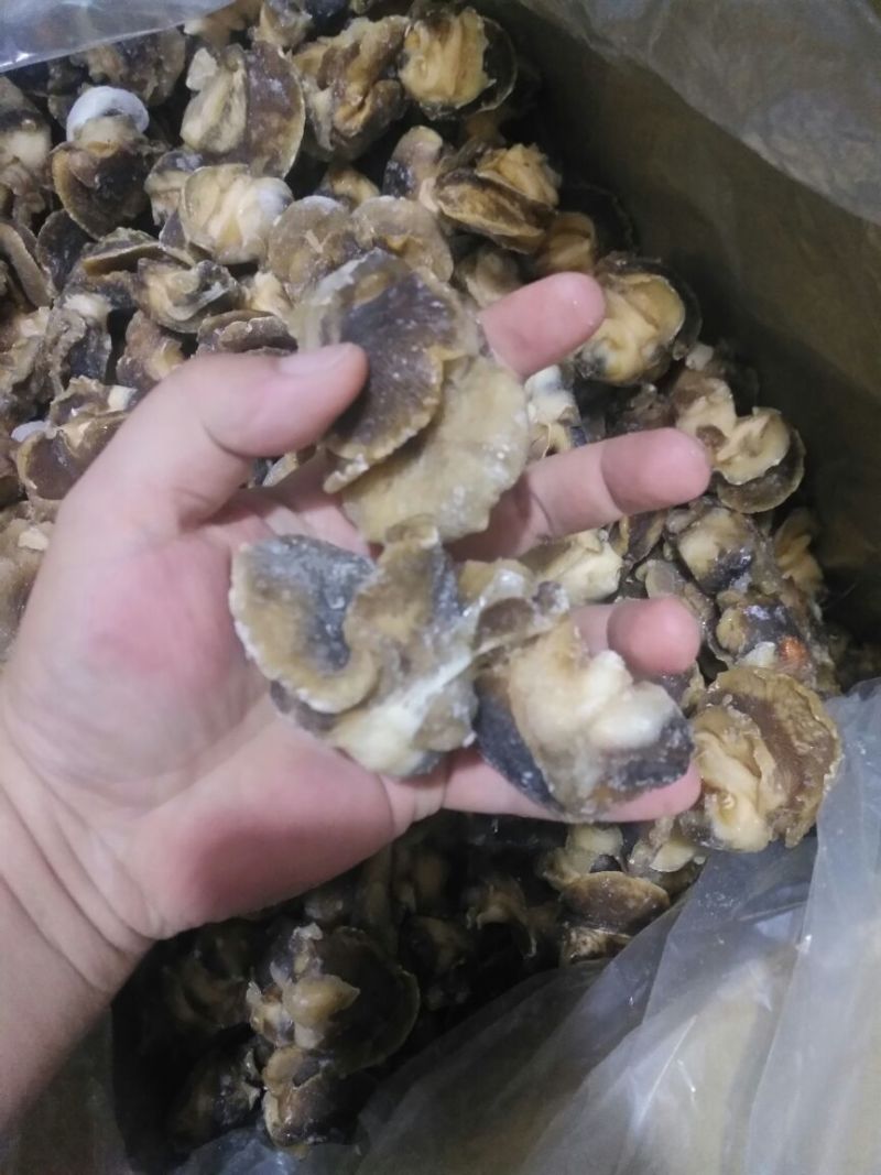 香螺肉