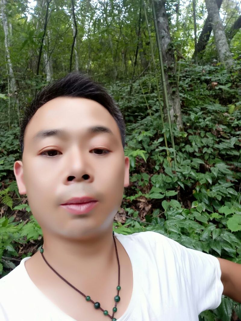 野生淫羊藿种苗需要的联系我