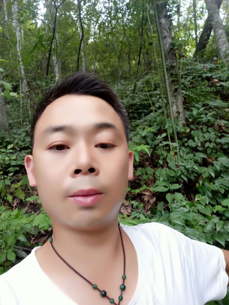 野生淫羊藿种苗需要的联系我
