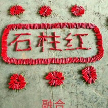 石柱红，辣遍全中国特辣