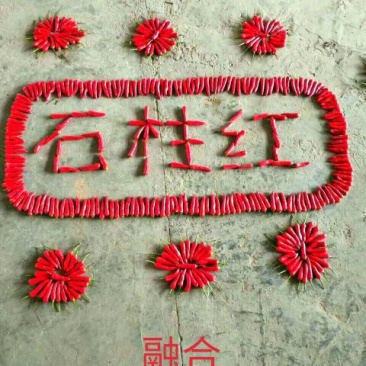 石柱红，辣遍全中国特辣