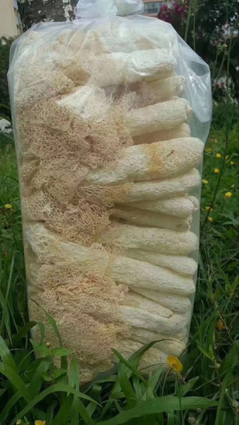 竹荪特级