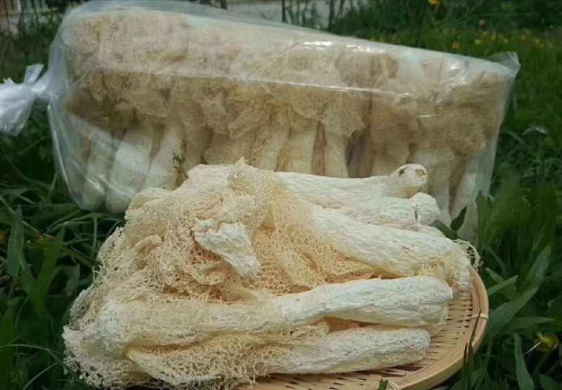 竹荪特级