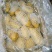 荷兰十五土豆