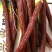 腊肠烟熏川味麻辣土肠