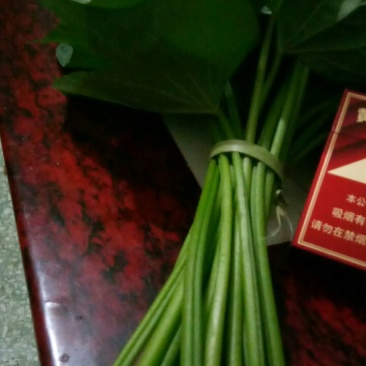 红薯叶梗