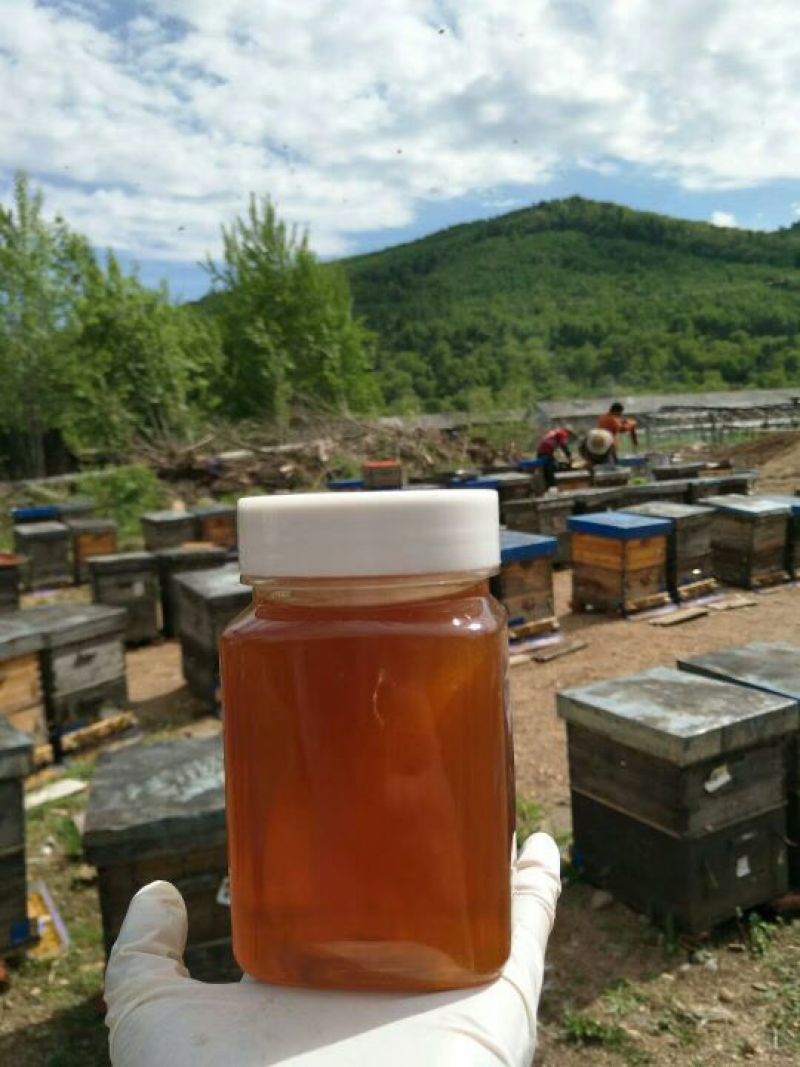 蜂蜜
