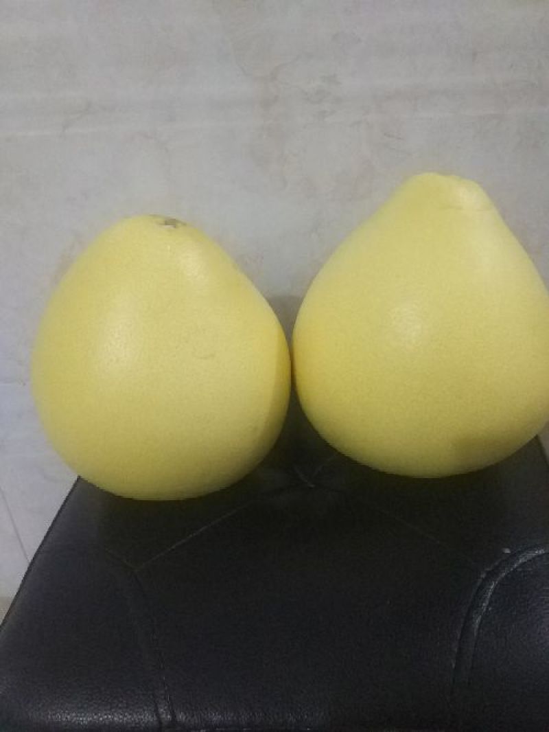 蜜柚