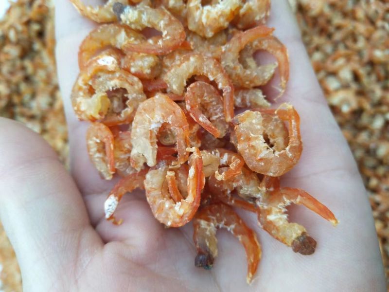 烟台海米虾皮对虾鱼干
