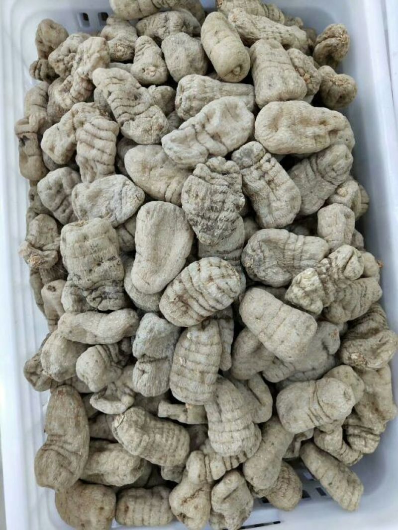正宗昭通小草坝天麻干天麻各种规格礼盒包装