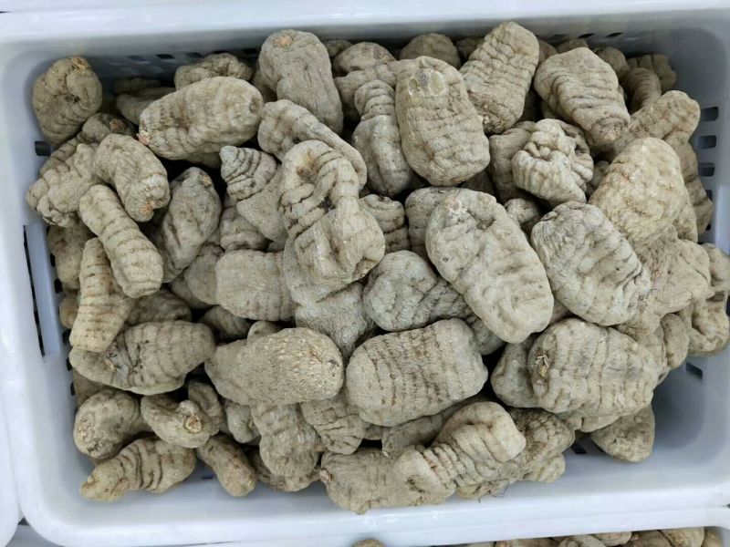 正宗昭通小草坝天麻干天麻各种规格礼盒包装