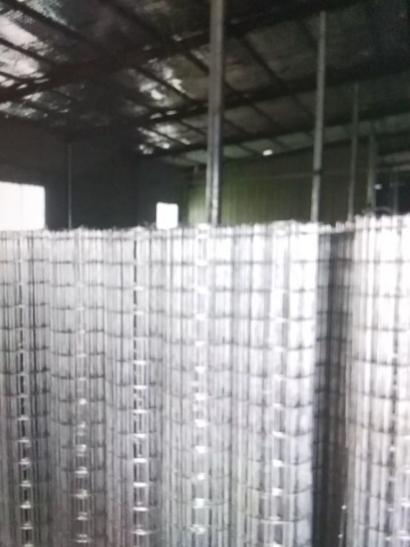荷兰网，高速护栏网，养殖围网，装玉米棒子网