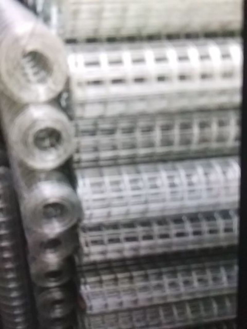 荷兰网，高速护栏网，养殖围网，装玉米棒子网