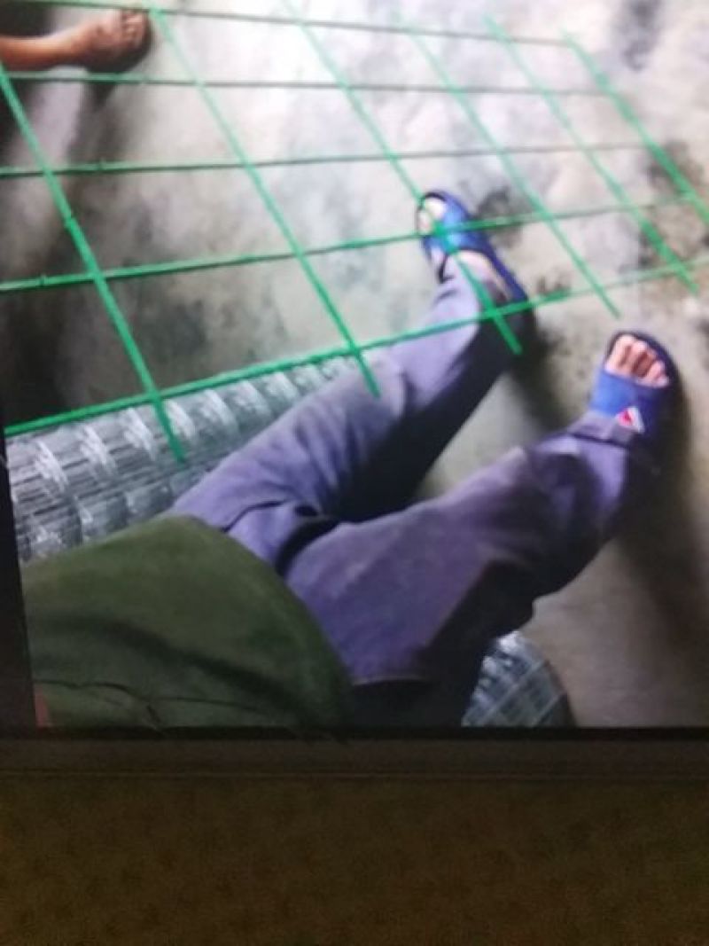 荷兰网，高速护栏网，养殖围网，装玉米棒子网