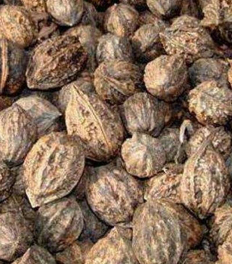 纯野生
