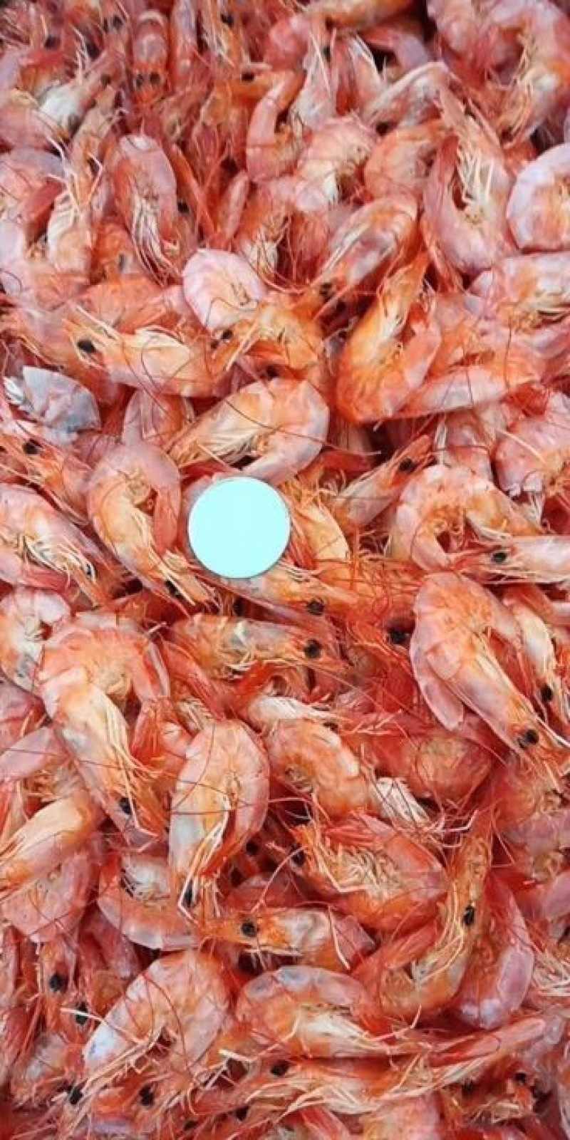 红虾干