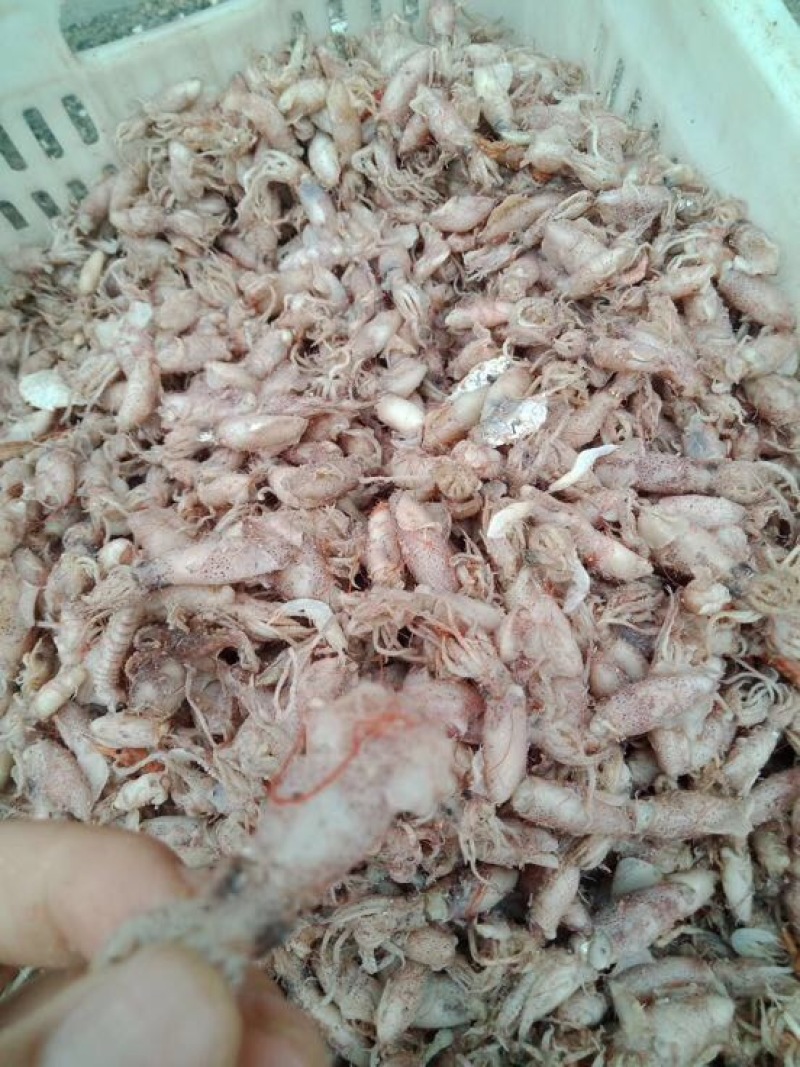 红虾干