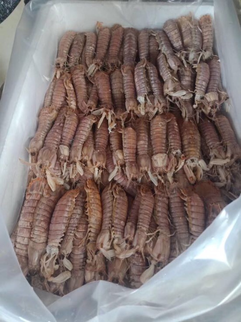 红虾干