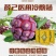 布福娜鲜果