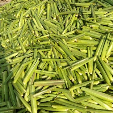 高山茭白