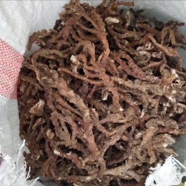 大山里的好货石菖蒲统条