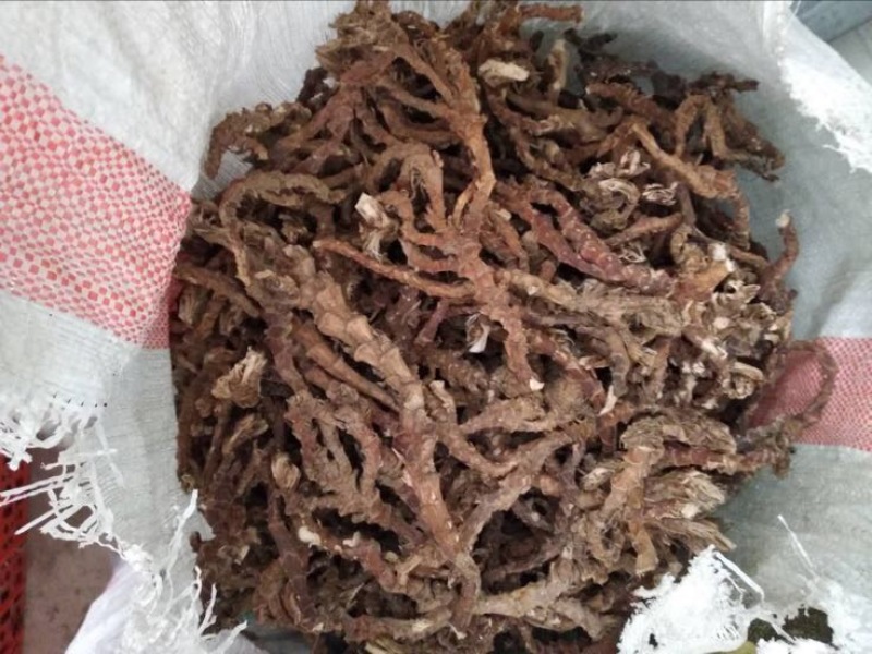 大山里的好货石菖蒲统条