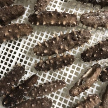 胶东即食海参