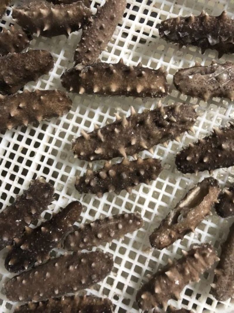 胶东即食海参