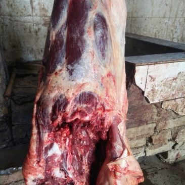 新疆屠宰厂纯驴肉，货源充足。