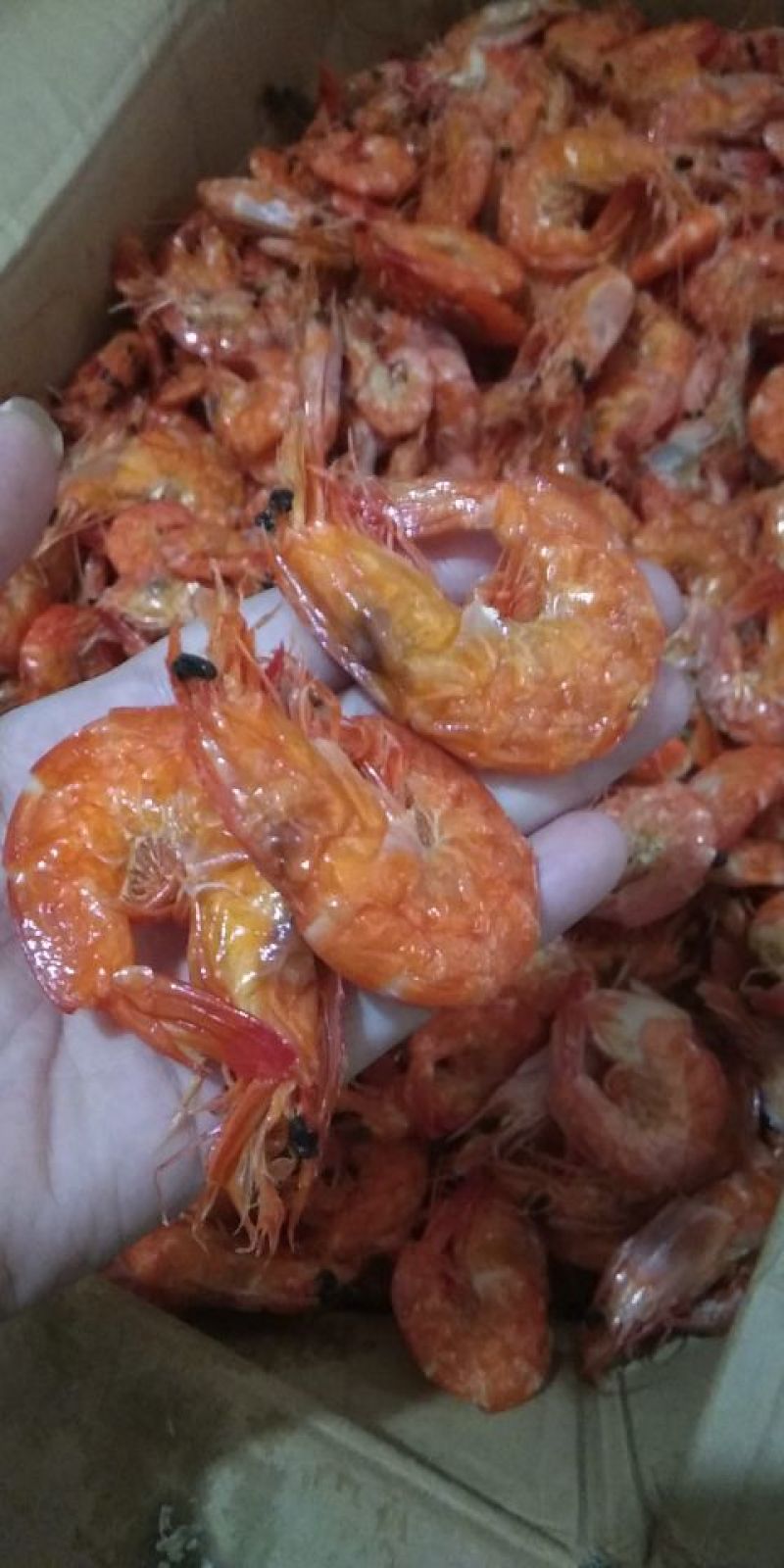 软虾